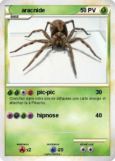 Pokemon aracnide