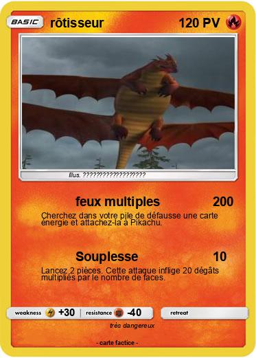 Pokemon rôtisseur