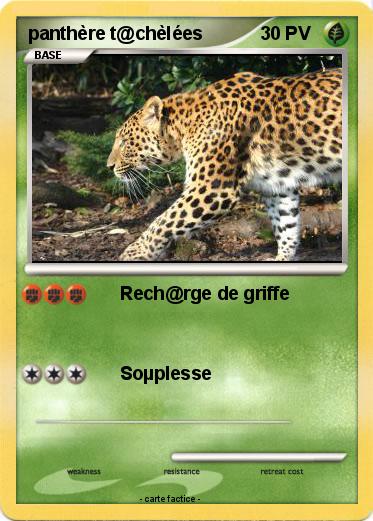 Pokemon panthère t@chèlées