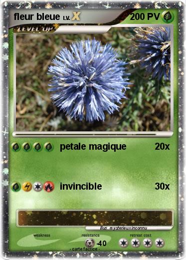 Pokemon fleur bleue