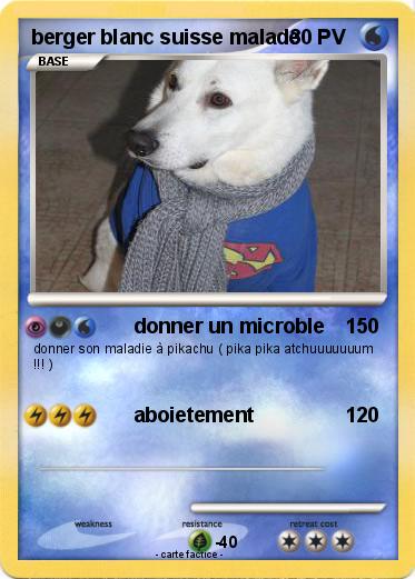 Pokemon berger blanc suisse malade