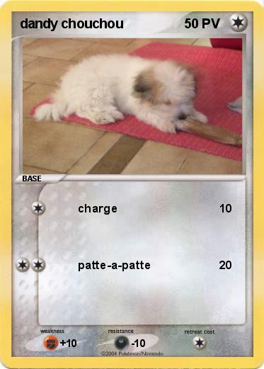 Pokemon dandy chouchou