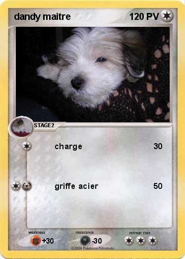Pokemon dandy maitre