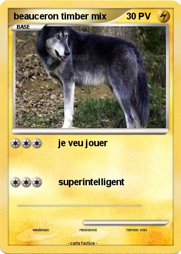 Pokemon beauceron timber mix