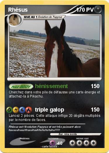 Pokemon Rhésus