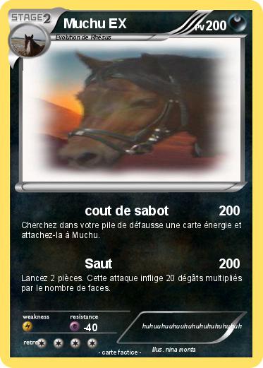 Pokemon Muchu EX