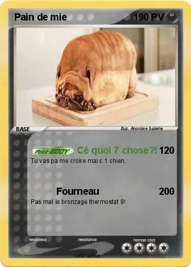 Pokemon Pain de mie