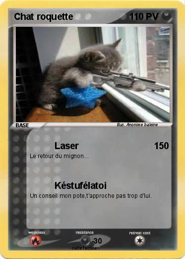 Pokemon Chat roquette