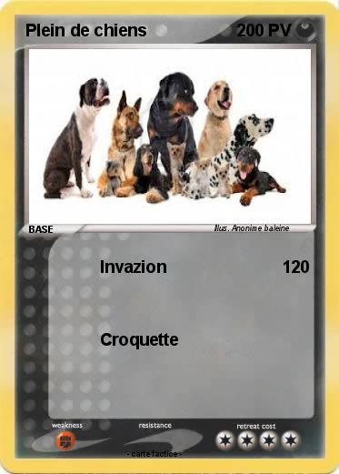 Pokemon Plein de chiens