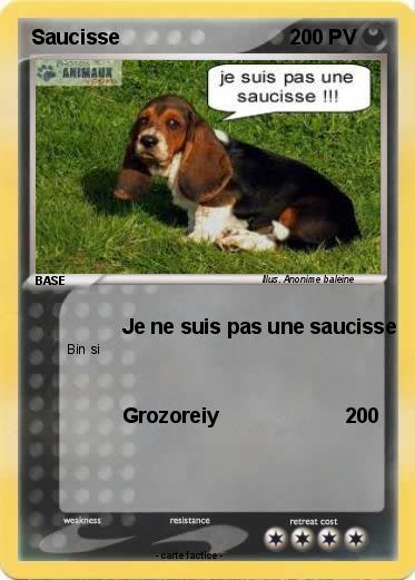 Pokemon Saucisse