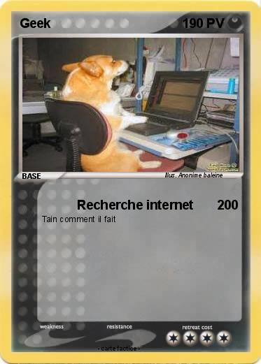 Pokemon Geek