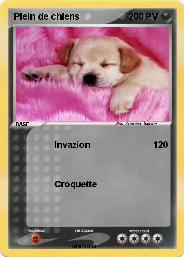 Pokemon Plein de chiens