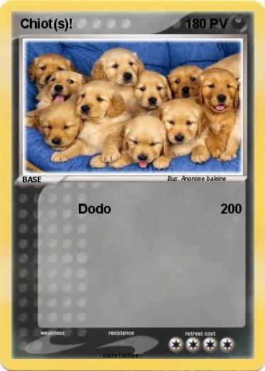 Pokemon Chiot(s)!