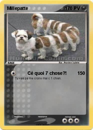 Pokemon Millepatte