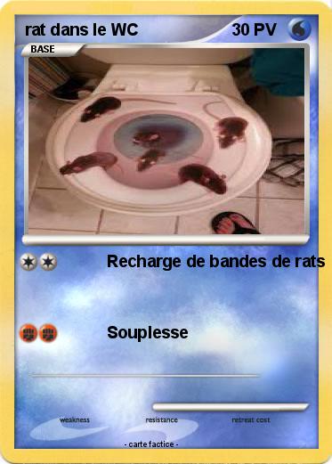 Pokemon rat dans le WC