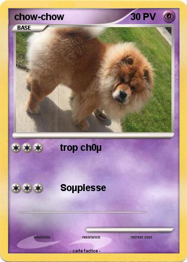 Pokemon chow-chow