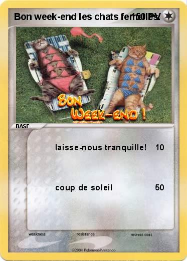 Pokemon Bon week-end les chats femelles.