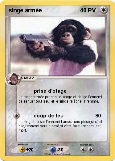 Pokemon singe armée