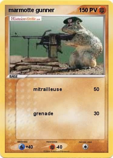Pokemon marmotte gunner