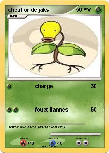 Pokemon chetiflor de jaks