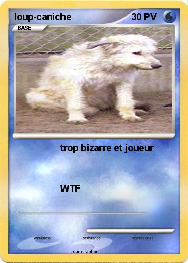 Pokemon loup-caniche