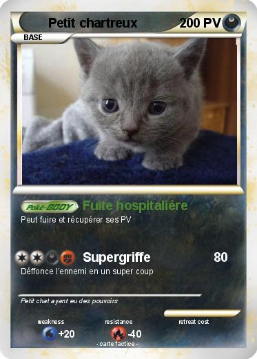 Pokemon Petit chartreux