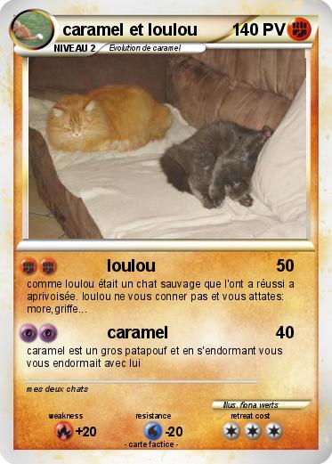 Pokemon caramel et loulou