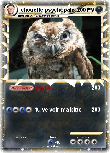 Pokemon chouette psychopate