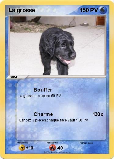 Pokemon La grosse
