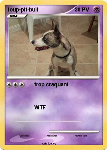 Pokemon loup-pit-bull