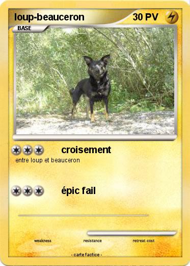 Pokemon loup-beauceron