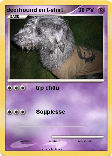Pokemon deerhound en t-shirt