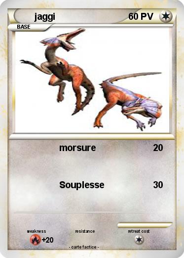 Pokemon jaggi