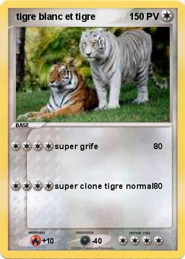 Pokemon  tigre blanc et tigre