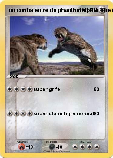 Pokemon un conba entre de phanthere pour etre roi