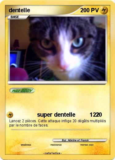 Pokemon dentelle