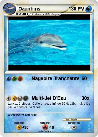 Pokemon Dauphins