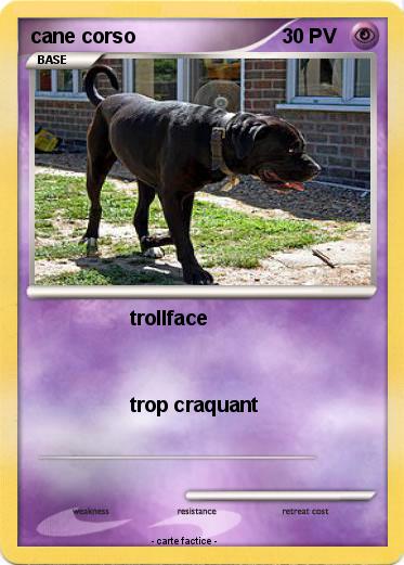 Pokemon cane corso