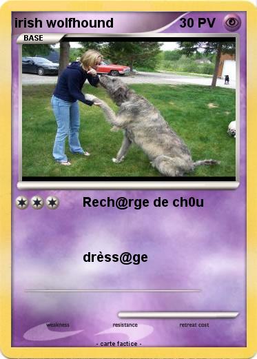 Pokemon irish wolfhound