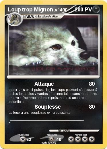 Pokemon Loup Trop Mignon 1