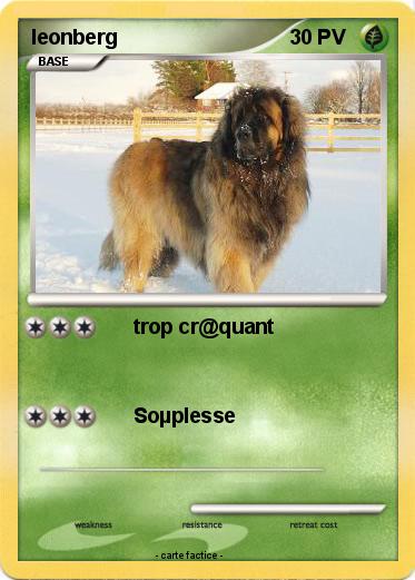 Pokemon leonberg