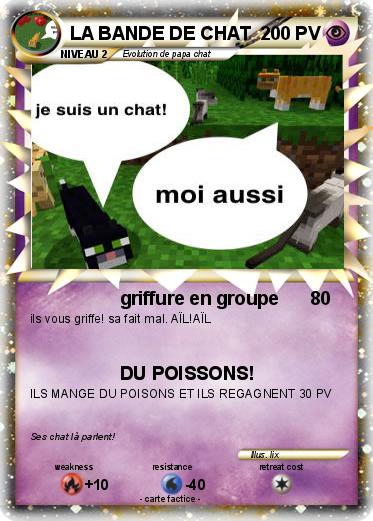 Pokemon LA BANDE DE CHAT