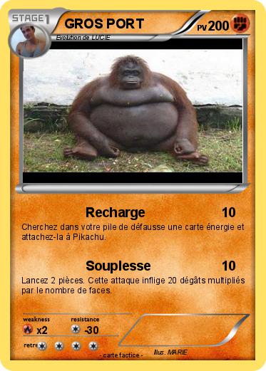Pokemon GROS PORT