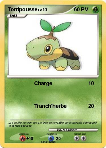 Pokemon Tortipousse
