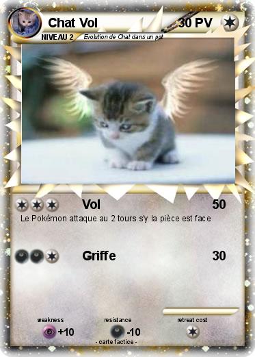 Pokemon Chat Vol
