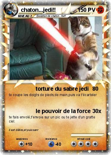 Pokemon chaton...jedi!!