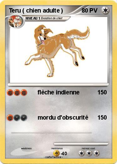 Pokemon Teru ( chien adulte )