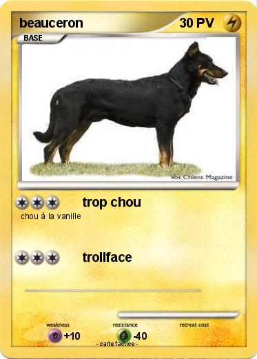 Pokemon beauceron
