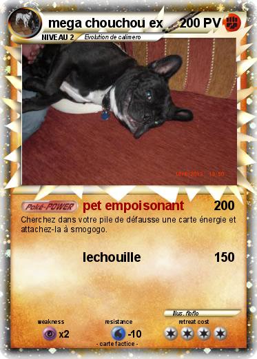 Pokemon mega chouchou ex