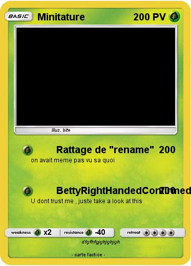 Pokemon Minitature